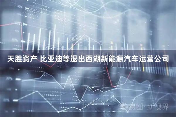 天胜资产 比亚迪等退出西湖新能源汽车运营公司