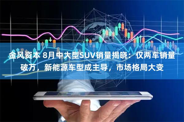 金风资本 8月中大型SUV销量揭晓：仅两车销量破万，新能源车型成主导，市场格局大变