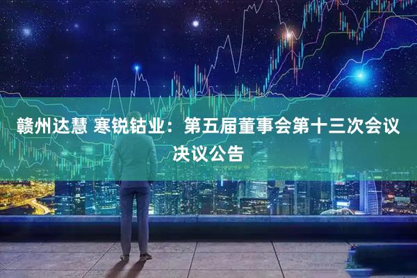 赣州达慧 寒锐钴业：第五届董事会第十三次会议决议公告