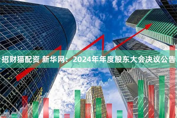招财猫配资 新华网：2024年年度股东大会决议公告