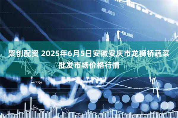 聚创配资 2025年6月5日安徽安庆市龙狮桥蔬菜批发市场价格行情