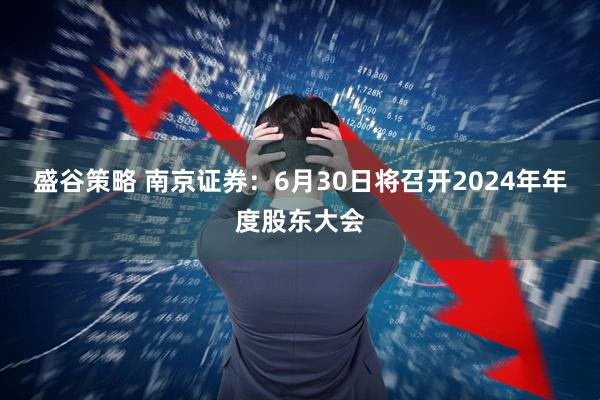 盛谷策略 南京证券：6月30日将召开2024年年度股东大会
