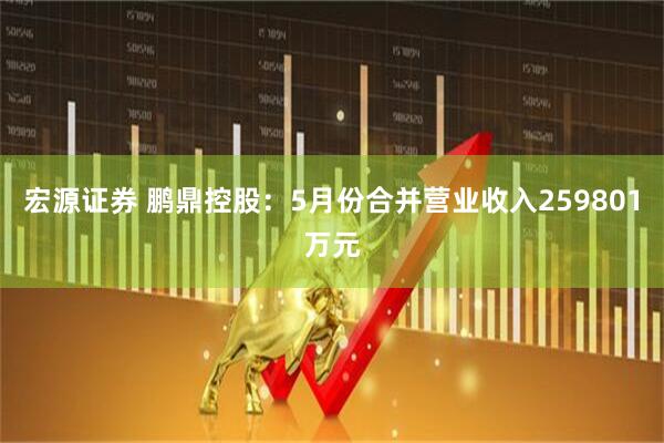 宏源证券 鹏鼎控股：5月份合并营业收入259801万元