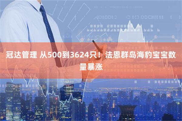 冠达管理 从500到3624只！法恩群岛海豹宝宝数量暴涨