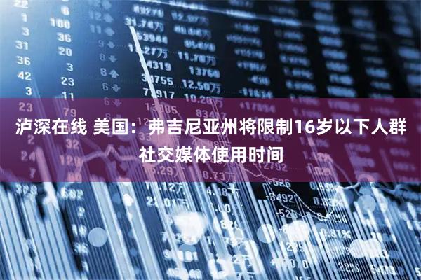 泸深在线 美国：弗吉尼亚州将限制16岁以下人群社交媒体使用时间