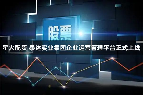 星火配资 泰达实业集团企业运营管理平台正式上线