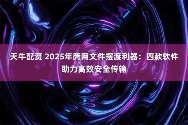 天牛配资 2025年跨网文件摆渡利器：四款软件助力高效安全传输