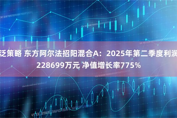 泛策略 东方阿尔法招阳混合A:2025年第二季度利润228699万元 净值增长率775%