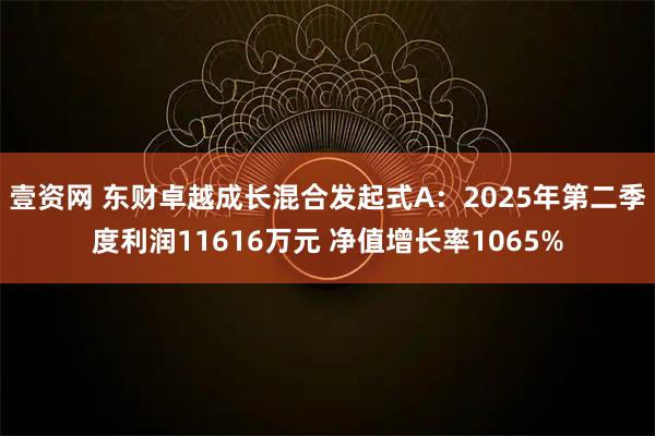 壹资网 东财卓越成长混合发起式A:2025年第二季度利润11616万元 净值增长率1065%