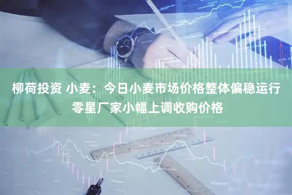 柳荷投资 小麦：今日小麦市场价格整体偏稳运行 零星厂家小幅上调收购价格
